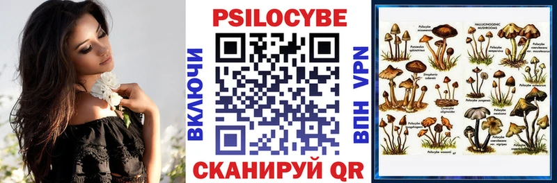 Галлюциногенные грибы Psilocybe  Балашиха 