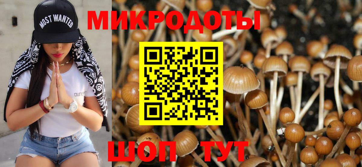 Галлюциногенные грибы прущие грибы Балашиха